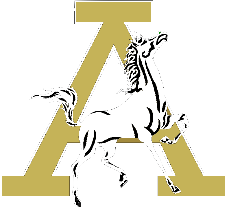 Andrews Independent School District - Gym (806x768)