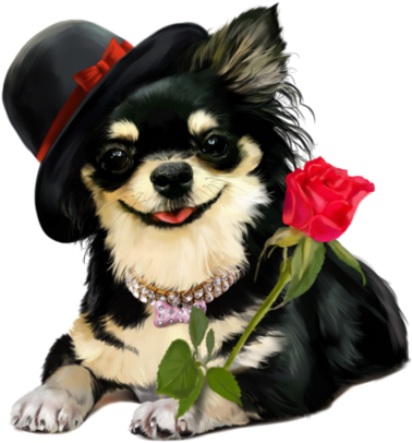 Cute Clipart, Patch, Animal Photography, Tube - Открытка Лучшей Подруге С Днем Рождения (600x578)