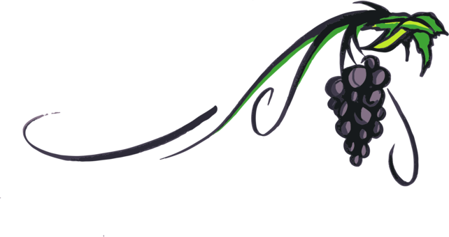 White Wine Red Wine Piquepoul Grape - Transparent Grape Vine Clipart (642x340)