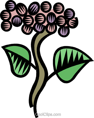 Grape Vines Royalty Free Vector Clip Art Illustration - Grape (381x480)