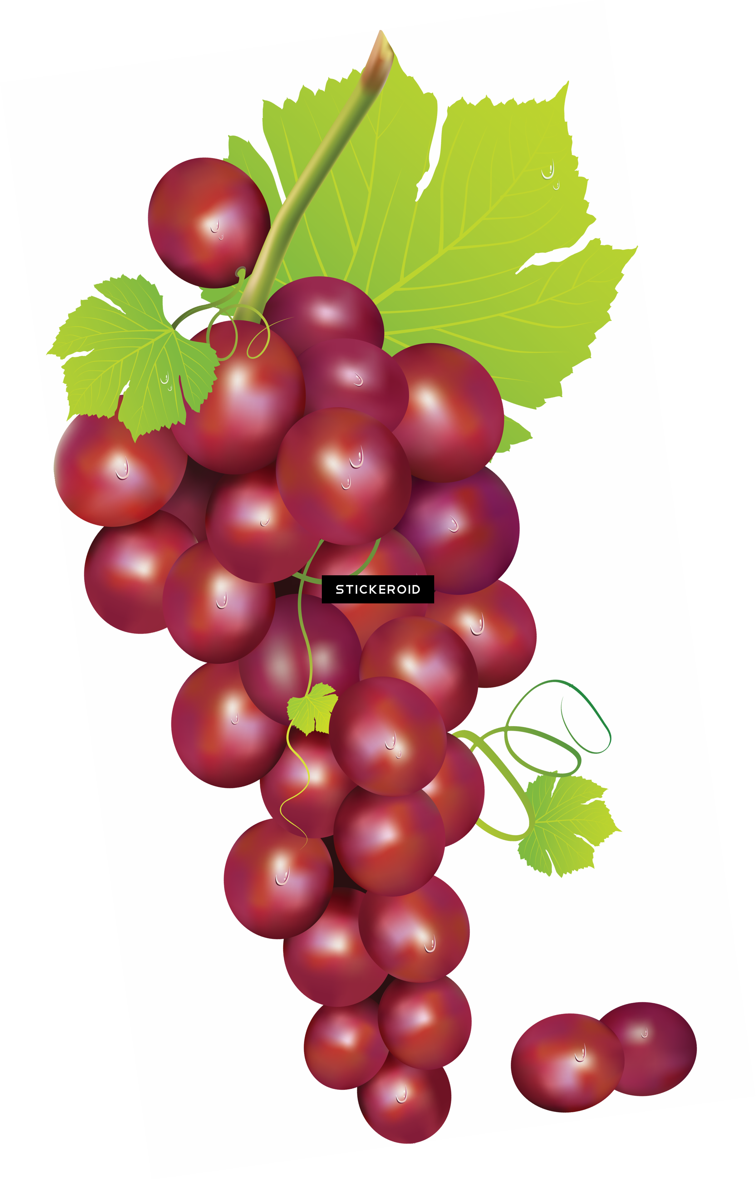 Green Grape - Frutas Sin Fondo Png (2422x3777)