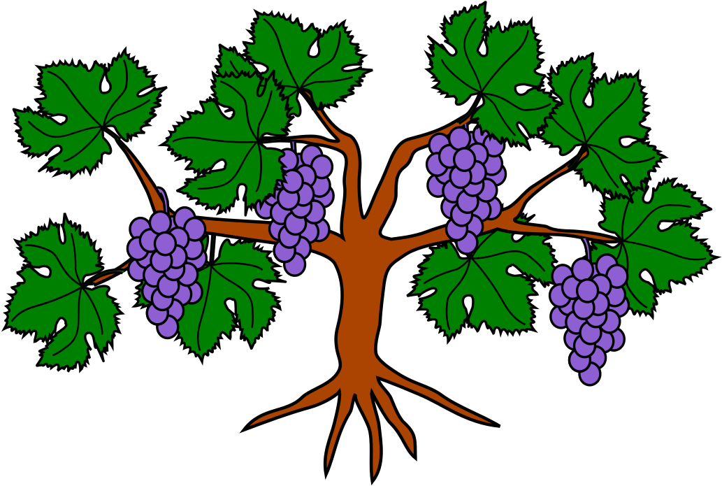 Grapes Heraldry (1052x744)