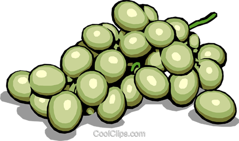 Green Grapes Royalty Free Vector Clip Art Illustration - Grape (480x284)