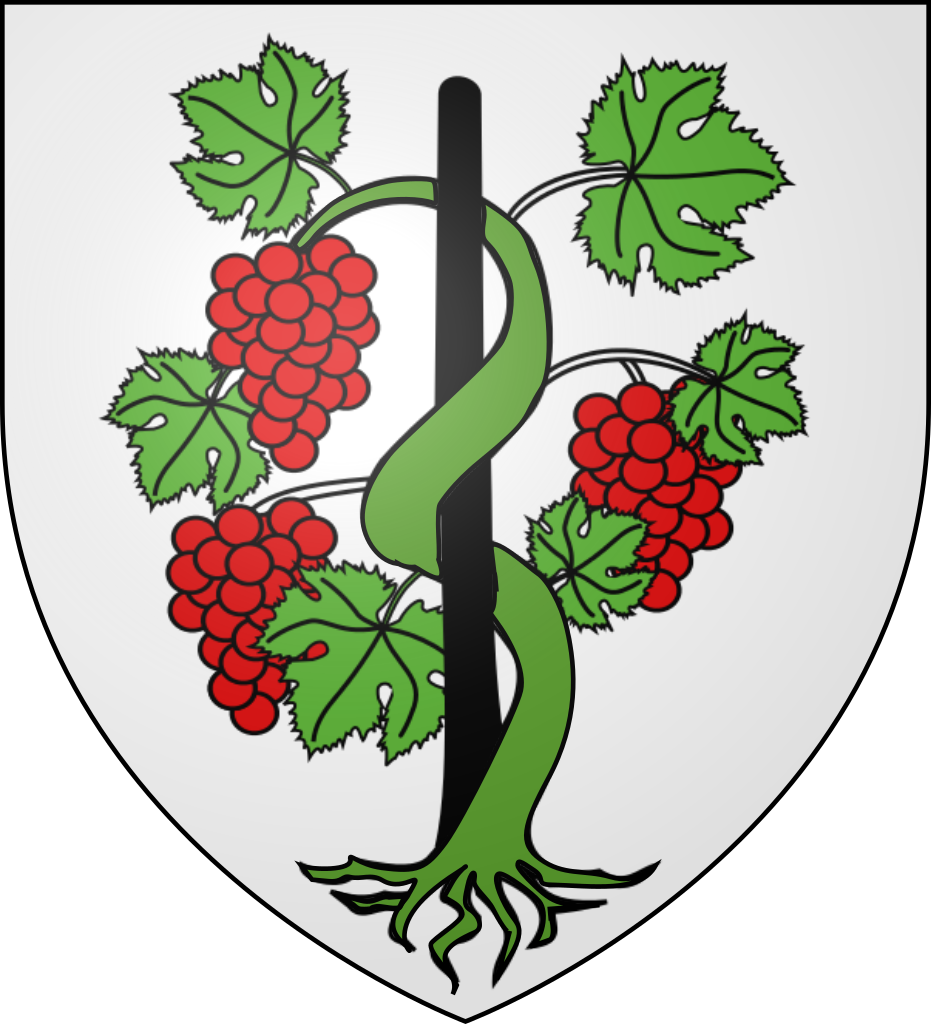 Blason Guyon - Coat Of Arms (931x1024)