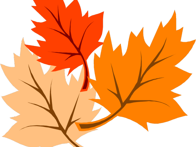 Autumn Leaves Clipart Corner Border - Dibujo De Hojas De Otoño (640x480)