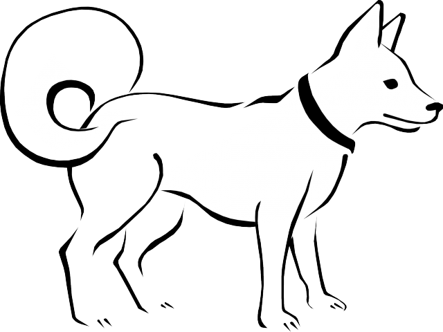 Chihuahua Clipart Dog Shadow - Dog Black & White (640x480)