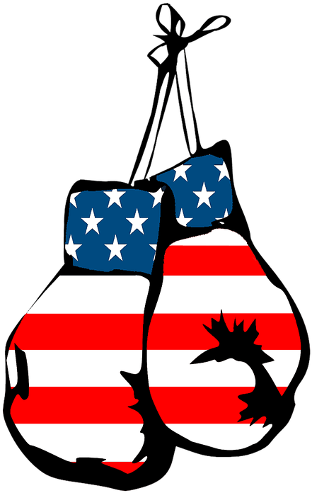 Boxing Gloves Clipart American Flag - Mexican Boxing Glove Clipart (464x720)