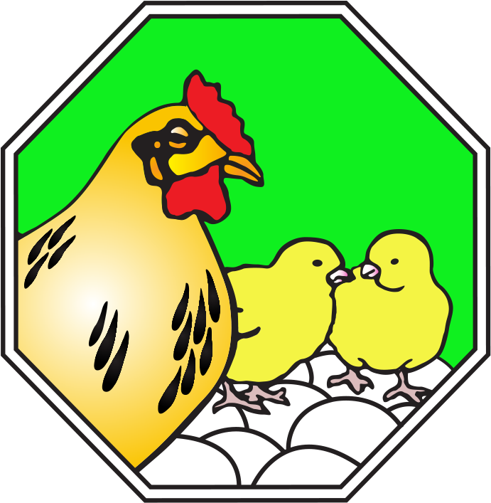 Arab Qatari For Poultry Production (690x719)