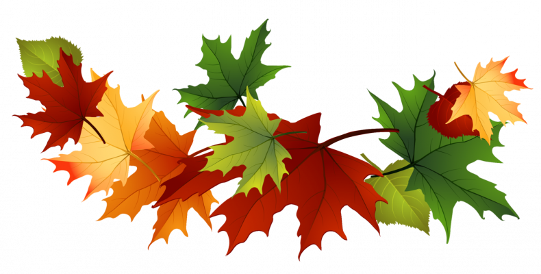 Fall Leaves - Free Fall Clip Art Leaves (790x400)