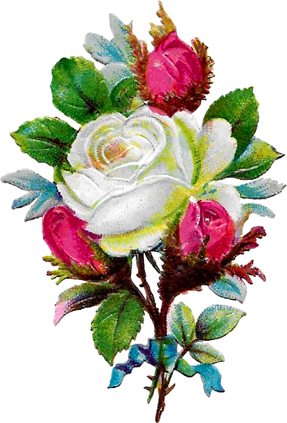Digital White Rose Clip Art Download Png - Rose (1154x1600)