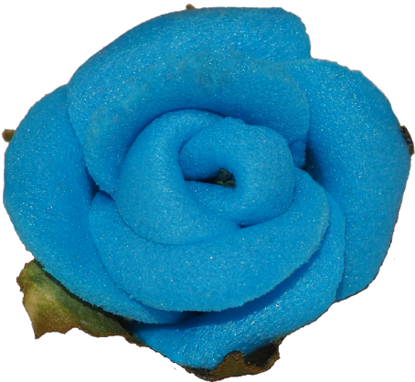 Blue Rose - Rose (460x440)