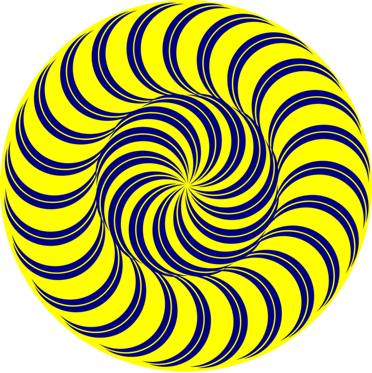 Op Art T-shirt Fall Skateboard - Spiral In Nature Clipart (748x750)