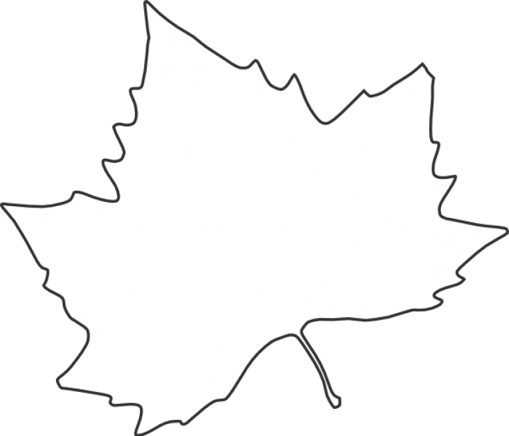 Permalink To Leaf Outline Clipart Wave Clipart - Black And White Autumn Leaves Png (728x624)