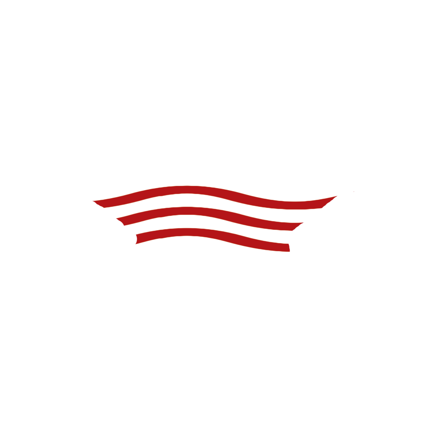 Seal - Army Symbol (1849x1781)