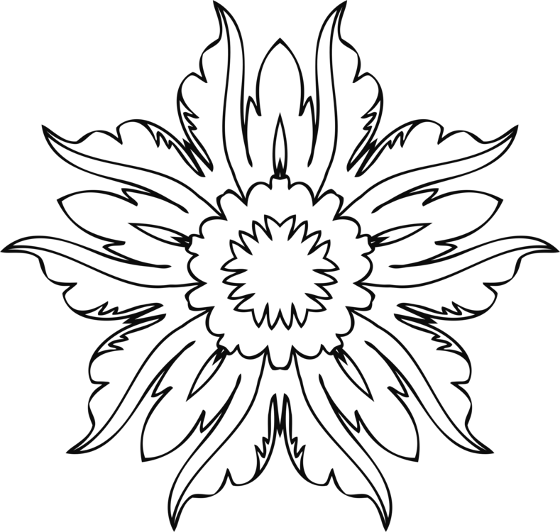 Drawing Line Art Floral Design Flower - Black Eyed Susan Clip Art (789x750)