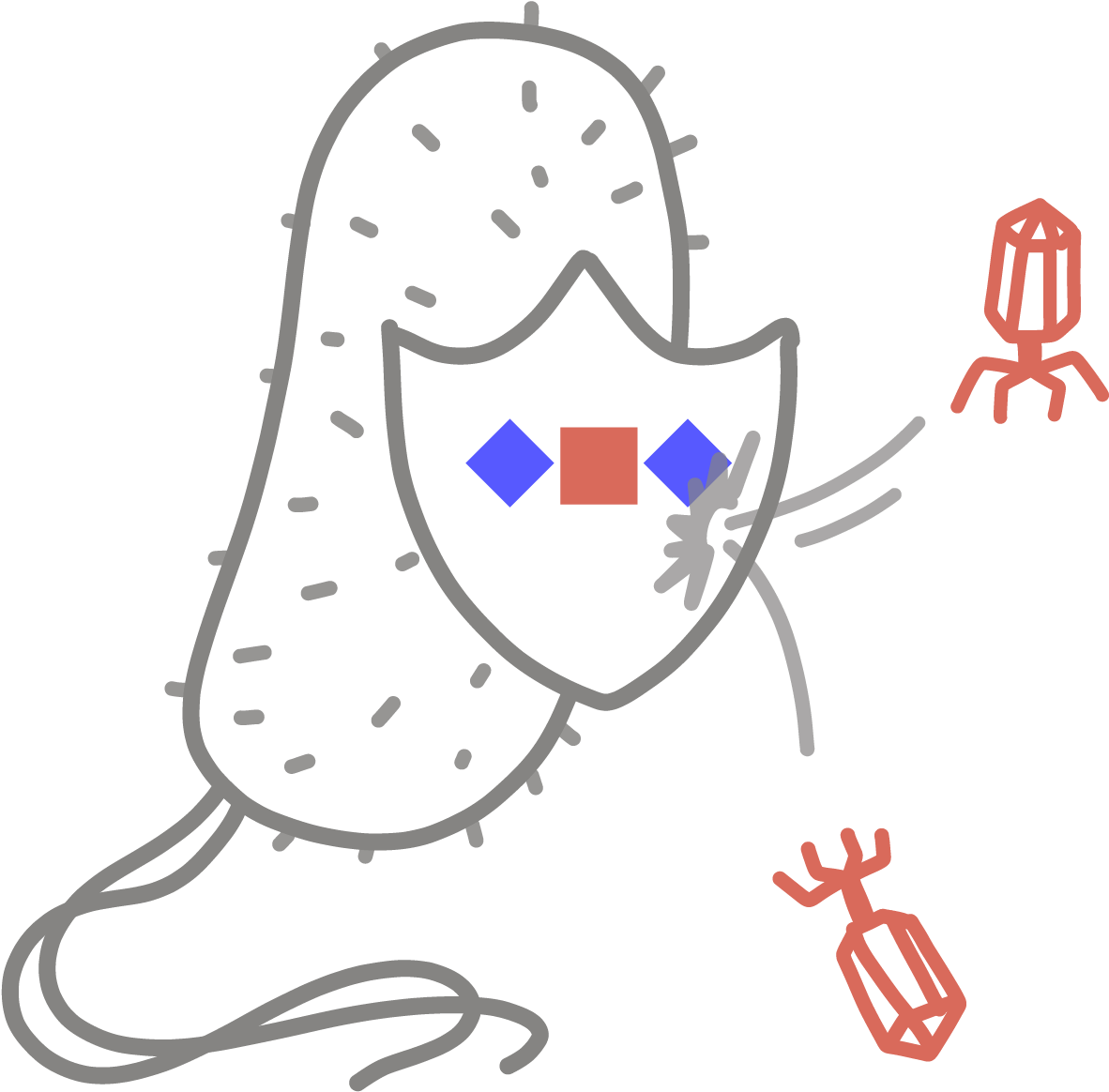 ” An Adaptive Immune System Found In Bacteria And Archaea, - ” An Adaptive Immune System Found In Bacteria And Archaea, (1200x1178)
