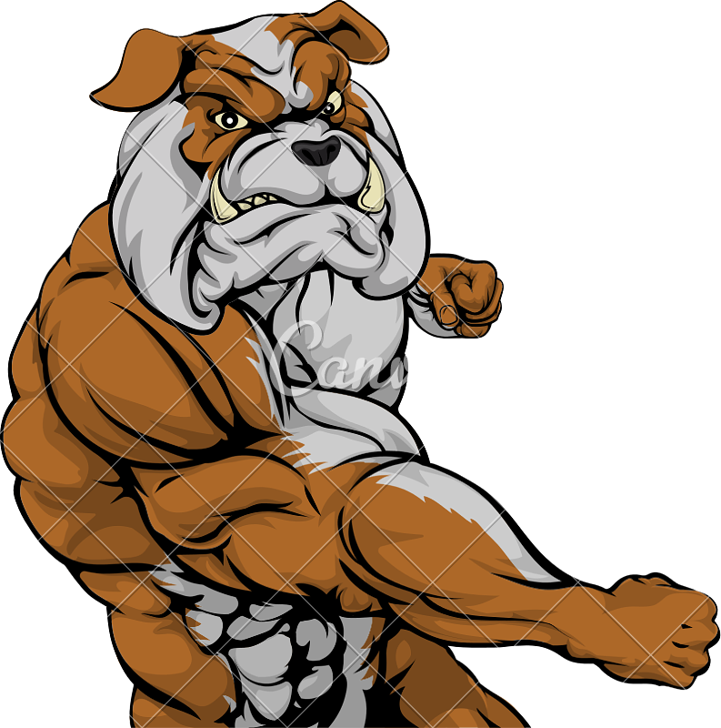 Mean Bulldog Mascot Fighting - Bulldog Fighting (793x800)