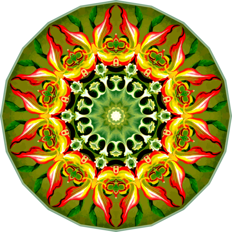 Symmetry Kaleidoscope Christmas Ornament Flower Christmas - Illustration (750x750)