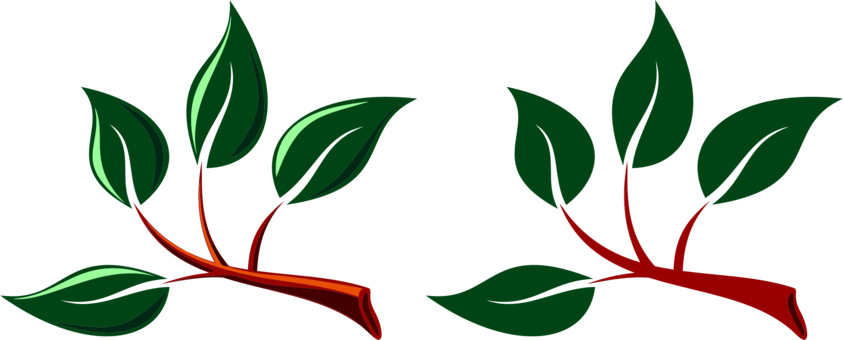 Clip Art Christmas Branch Leaf Flower Tree - Branch With Leaves Clipart (843x340)