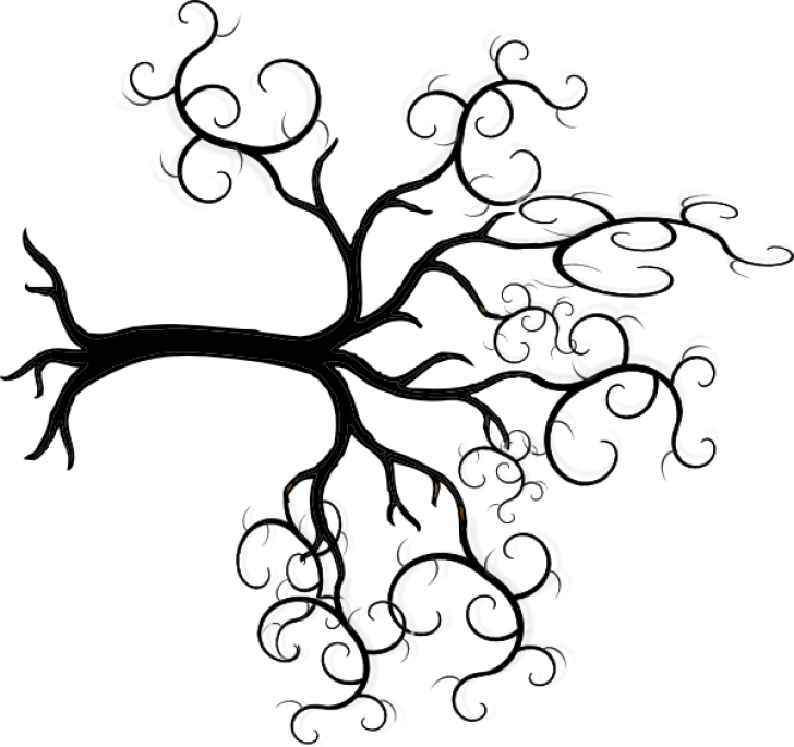 Permalink To Tree Clipart Outline Spring Clipart - Arbol De La Vida Con Raices (728x685)