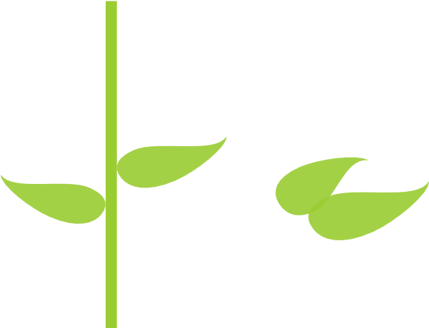 This Free Clip Arts Design Of Pink Flowers - Smile (600x594)