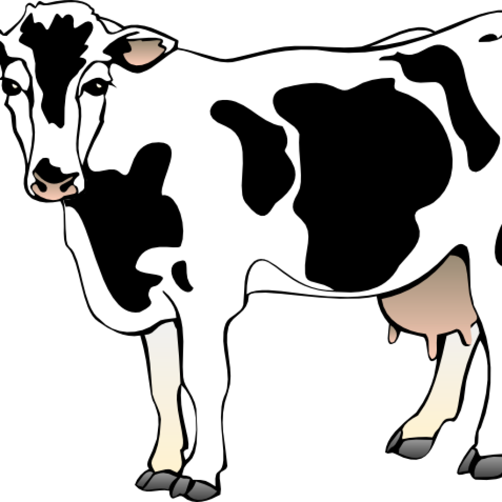 Free Cow Clipart Cow Clipart Cow 11 Clip Art Vector - Clipart Of Cow (1024x1024)