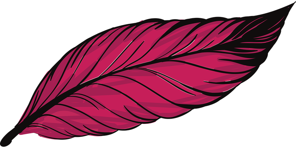 Feather Clipart Pluma - Imagenes De Plumas (960x480)