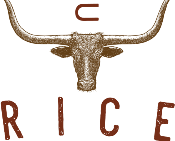 Longhorn Cattle Clipart Donkey - Texas Longhorn (640x480)