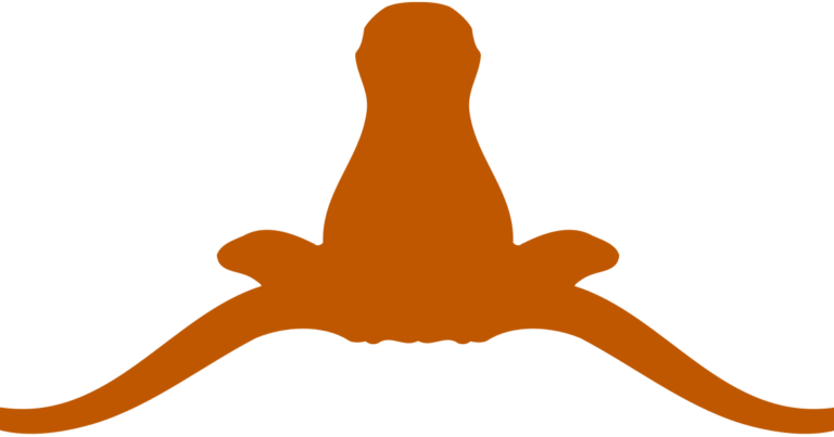 Billy Grier & Co - Texas Longhorns (768x403)