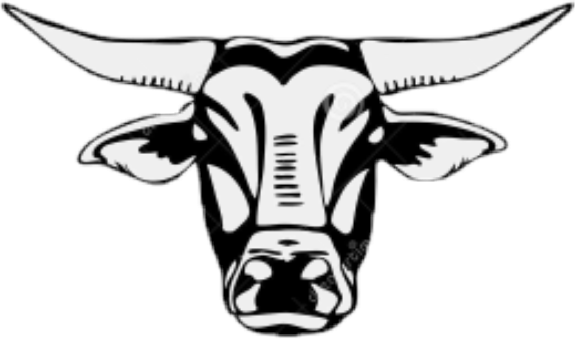 Report Abuse - Bull Head Stencil (575x339)