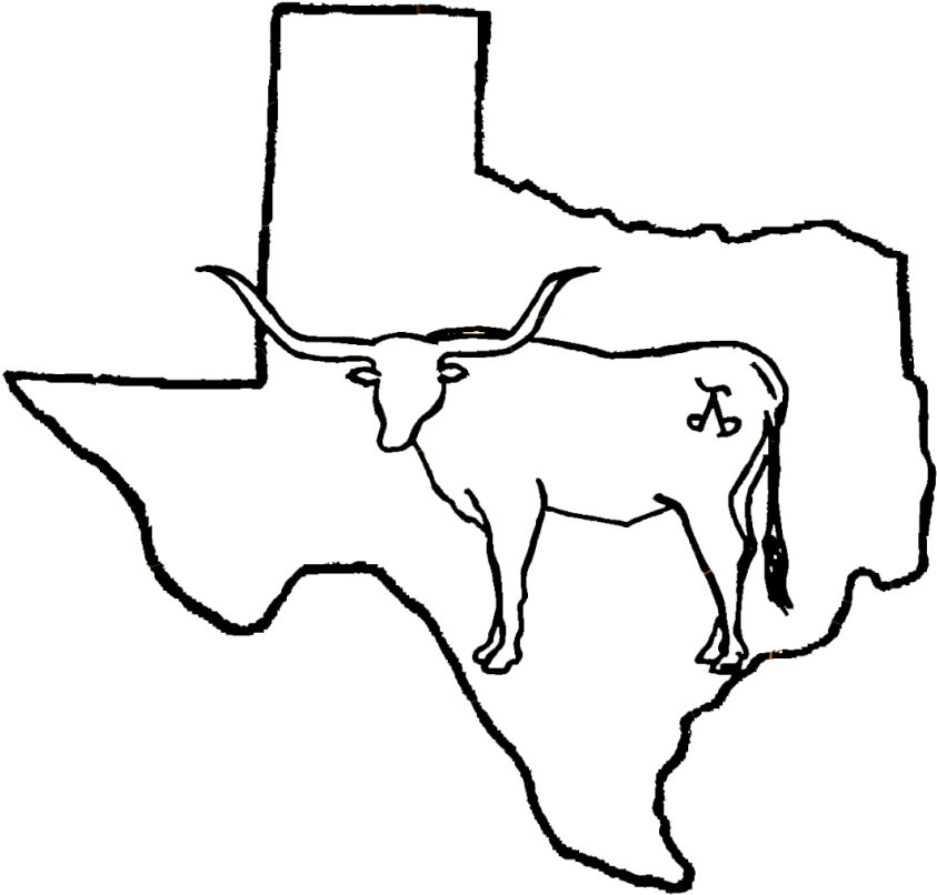 Line Drawing Longhorn Cattle (1030x939)