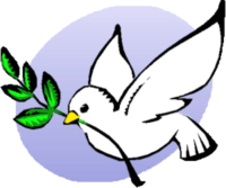 Sacrament Of Confirmation - St Francis Xavier Symbols (920x768)