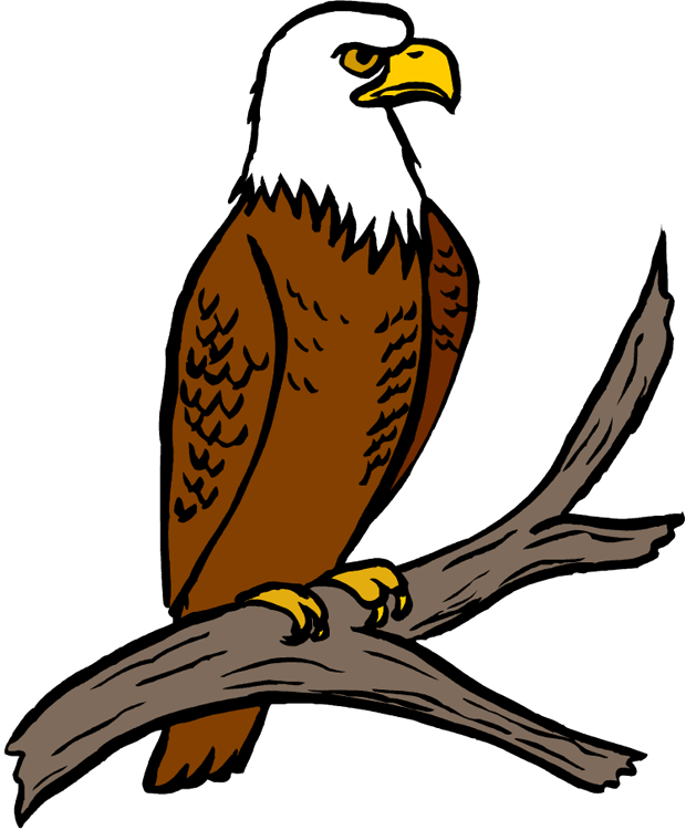 Free Eagle Clipart - Eagle Clip Art (620x750)