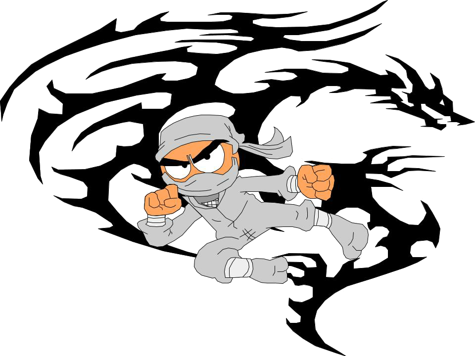 Picture - Beverly Hills Ninja (960x720)