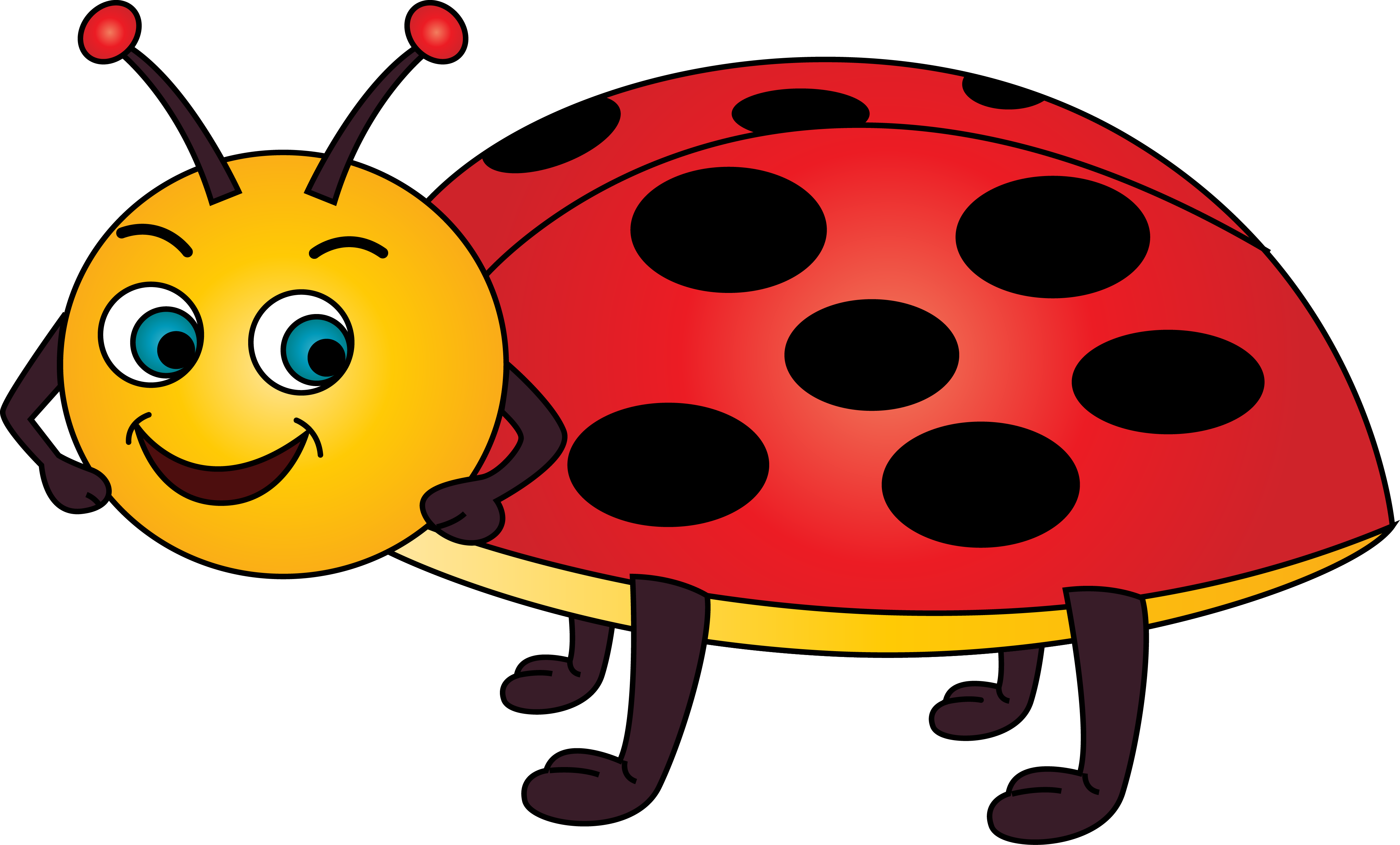 Cartoon Ladybird Clip Art - Clipart Lady Bird Cartoon (4310x2602)