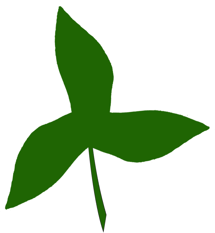 Share The Green And Don't Get Pinched - Shamrock (799x822)