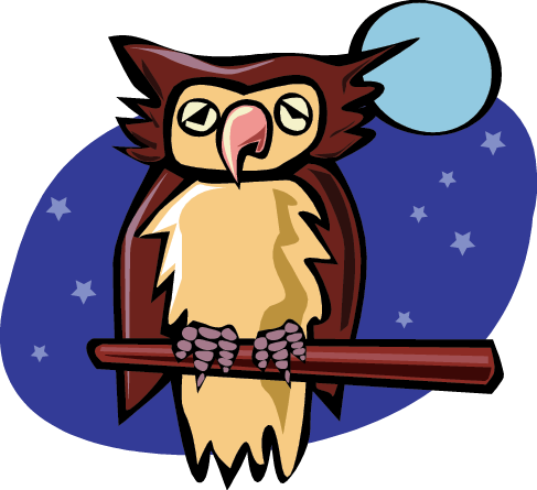 Can You Name Owl Species Play A Game Of Hangman And - Owl (487x445)