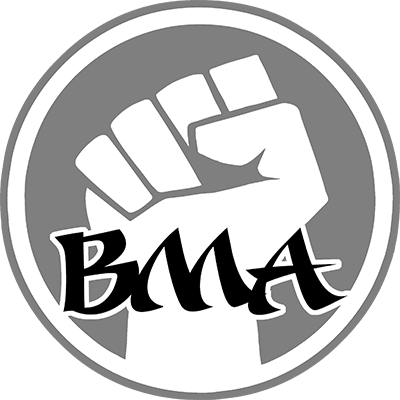 Birmingham Academy Of Martial Arts - Birmingham Academy Of Martial Arts (400x400)