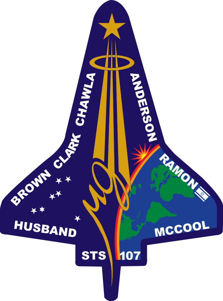 Printable Nasa Logo - Space Shuttle Columbia Disaster (1200x1618)