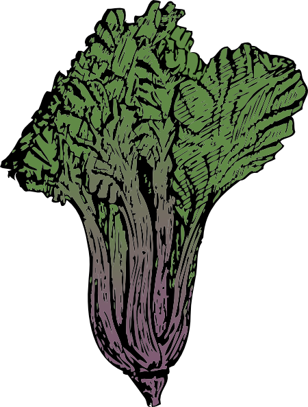 Free Vector Swiss Chard Clip Art - Chard Vector Png (569x750)