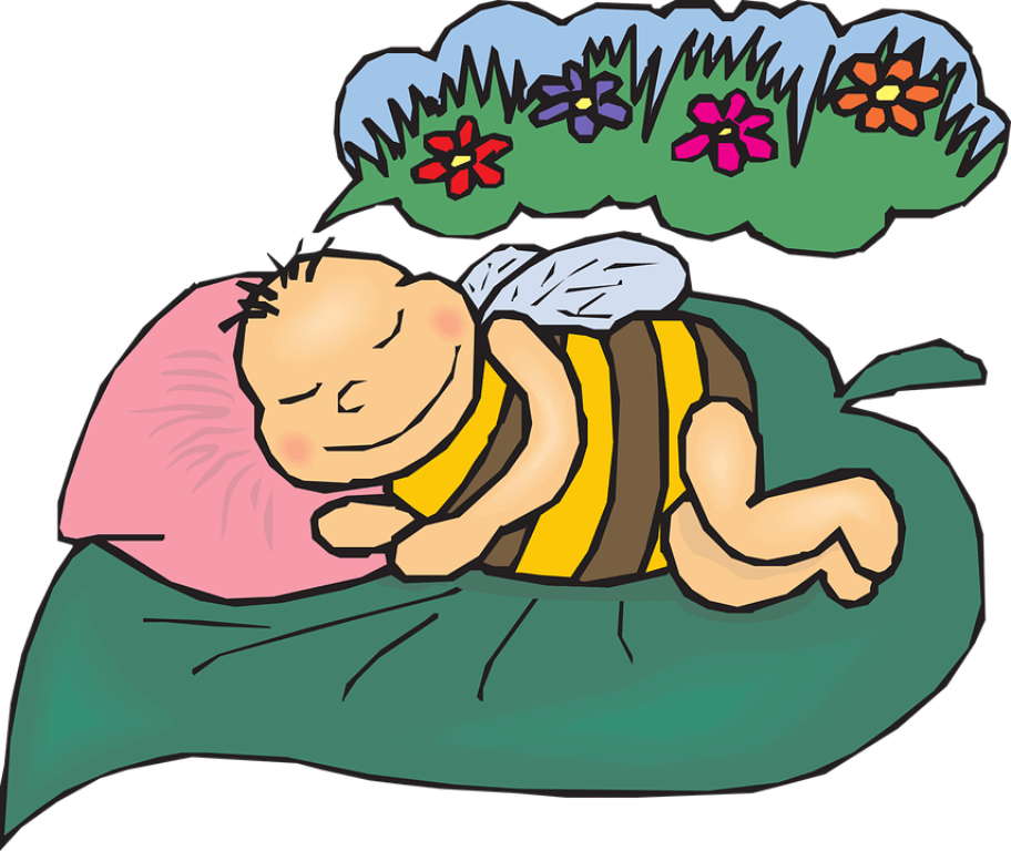 Flowers, Bee, Grass, Sweet, Dreaming, Dreams - Dreaming Clip Art (1280x1077)
