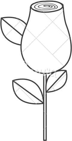 Sketch Rosebud With Leaves And Stem - Illustration (550x550)
