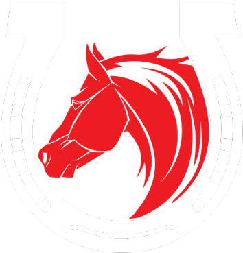 Welcome To The Greater Omaha Horseshoe League - Black Stallion Horse Logo (800x417)