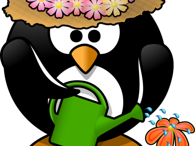 Spring Clipart Penguin - Colors Of A Penguin (640x480)