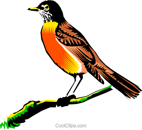 Robin On A Branch Royalty Free Vector Clip Art - Love You Nita (480x439)
