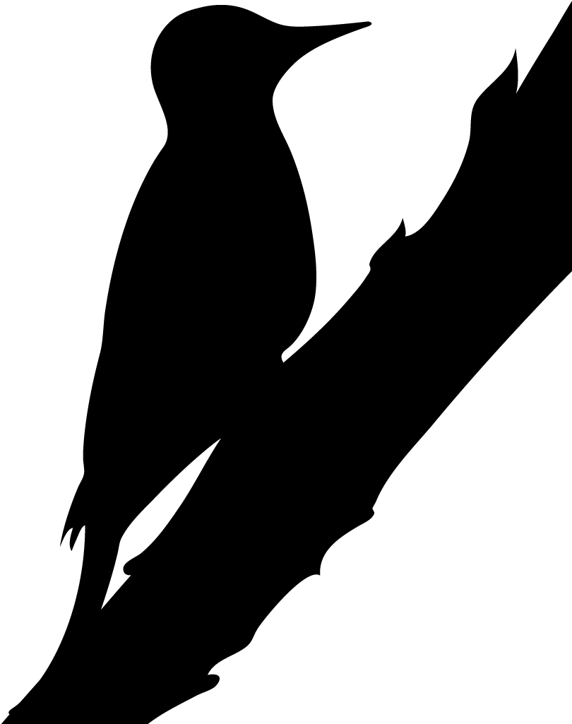 Silhouette Northern Flicker (1024x1024)