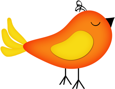 Album - Ảnh Chim Hoạt Hình (500x407)