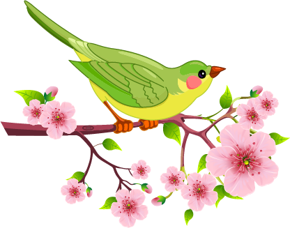 Read More - Parrot (416x327)