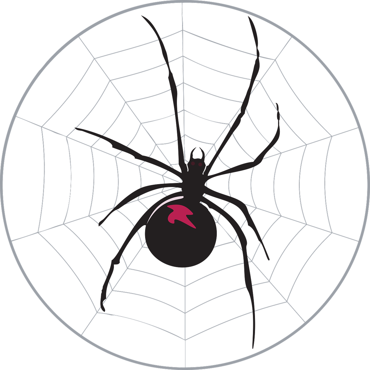 Nov 11, 2015 Angelina General Nursery Rhymes Coloring - Aranha Na Teia Desenho (1280x1280)