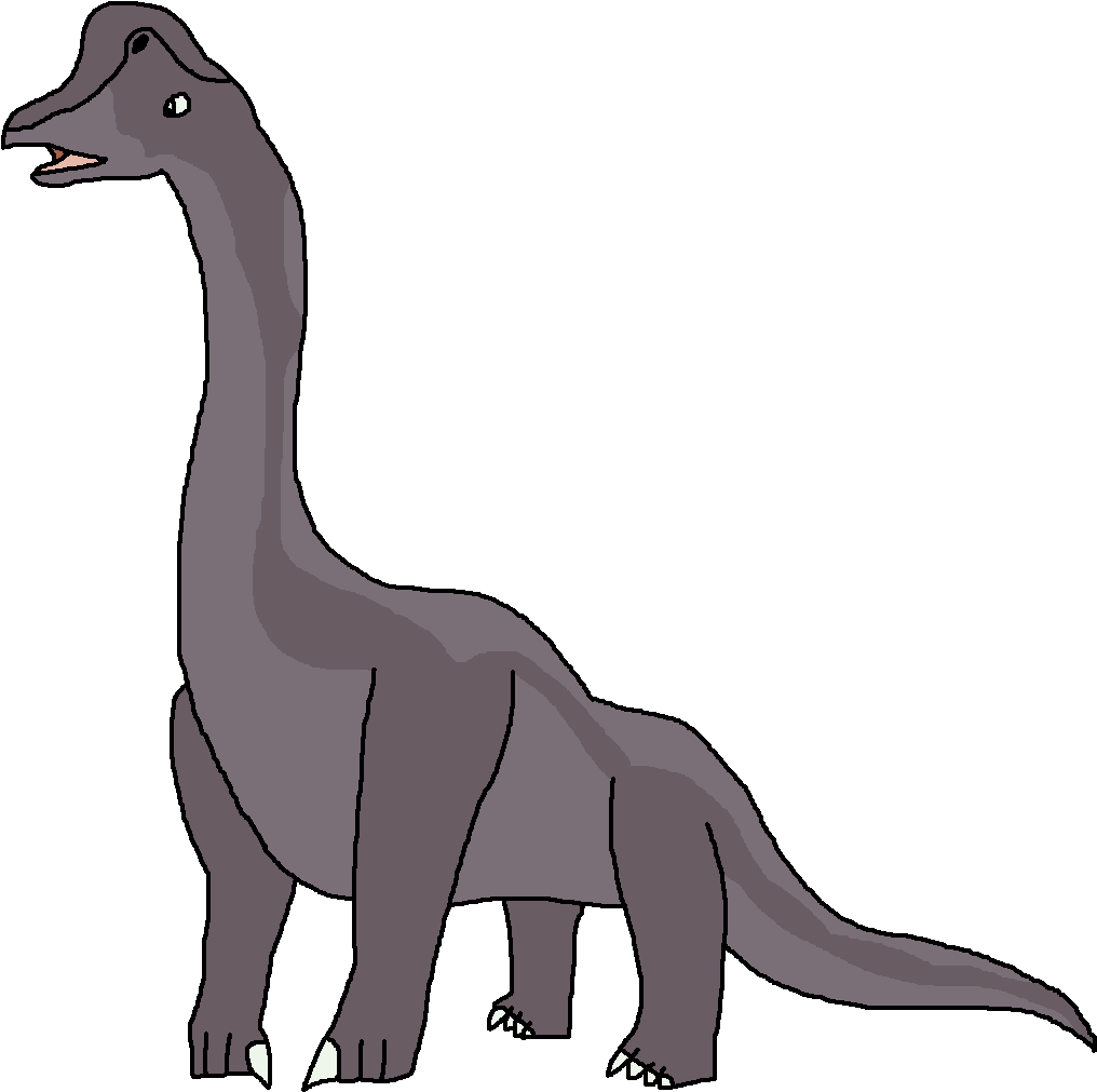 Brachiosaurus Png File - Dinosaur Pedia Wikia Brachiosaurus (1023x1021)